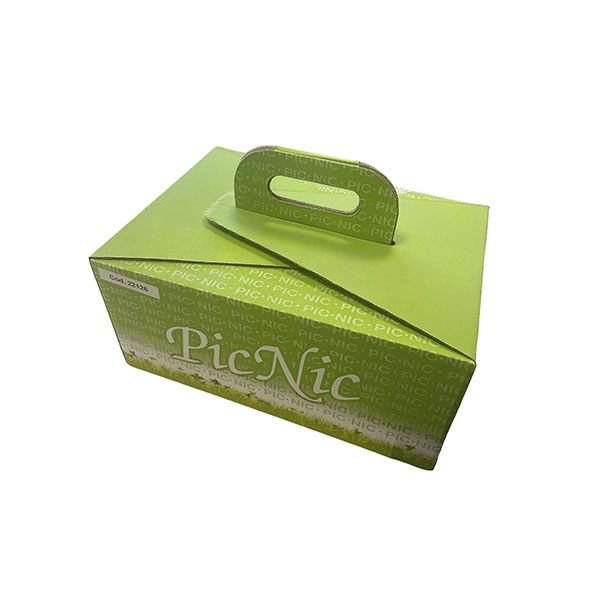 [22126] CAJA PICNIC ESTANDAR 252X208X125MM 20 UNI.