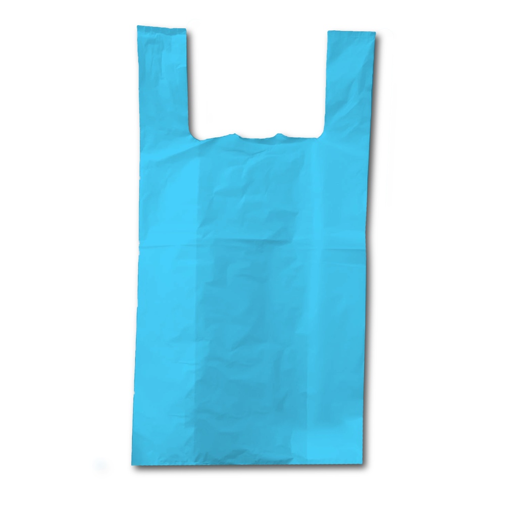 [1031] BOLSA ASA CAMISETA AZUL ANONIMA 35X50 200/UNI