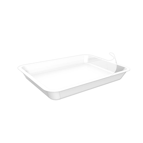 BANDEJA TER/SELL 250X310X55 R-25-31-55 162/UNI.